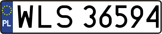 WLS36594