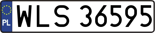 WLS36595