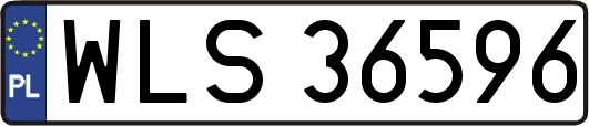 WLS36596