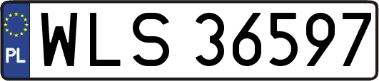 WLS36597