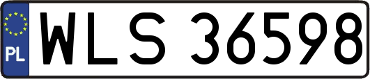 WLS36598