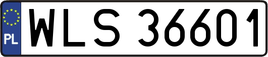 WLS36601