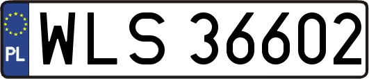 WLS36602