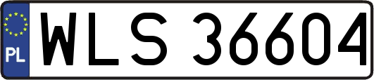 WLS36604