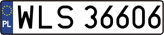 WLS36606