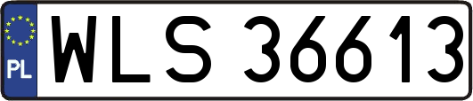 WLS36613