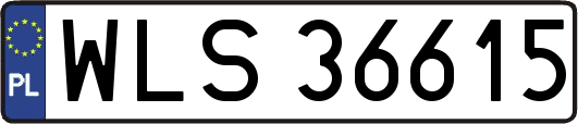 WLS36615