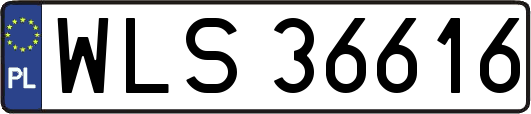 WLS36616