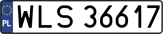 WLS36617