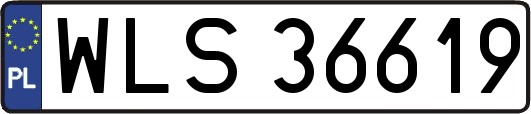 WLS36619