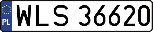 WLS36620