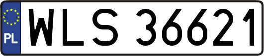 WLS36621
