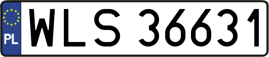 WLS36631