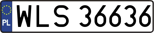 WLS36636