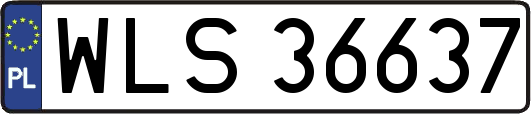 WLS36637