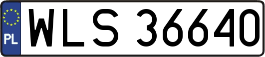 WLS36640