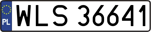 WLS36641
