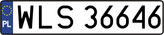 WLS36646