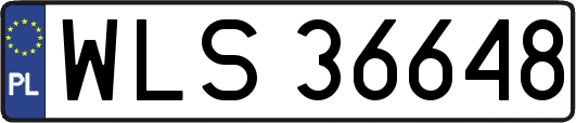 WLS36648