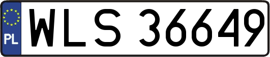 WLS36649