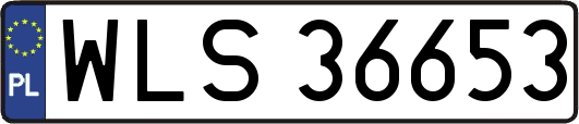 WLS36653