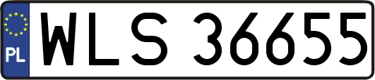 WLS36655