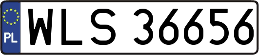 WLS36656