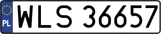 WLS36657