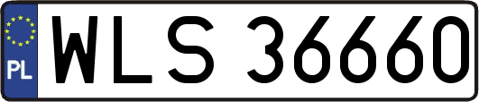WLS36660