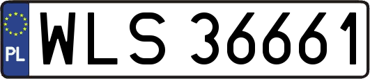 WLS36661
