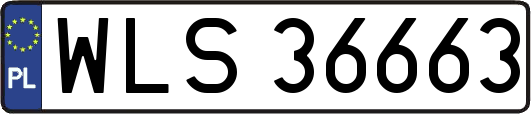 WLS36663