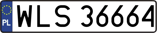 WLS36664