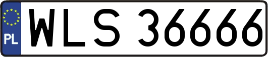 WLS36666