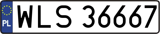 WLS36667