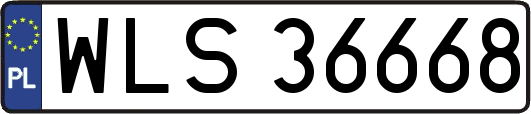WLS36668
