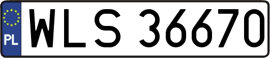 WLS36670
