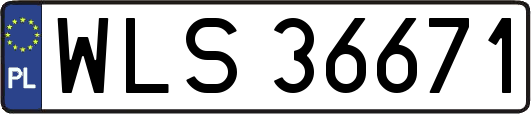 WLS36671