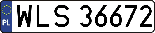 WLS36672