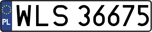 WLS36675