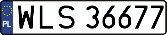 WLS36677