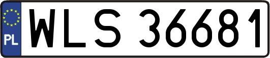 WLS36681