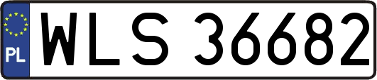 WLS36682