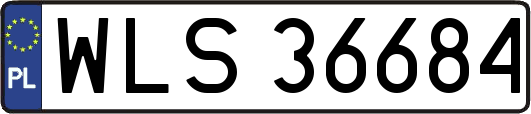 WLS36684