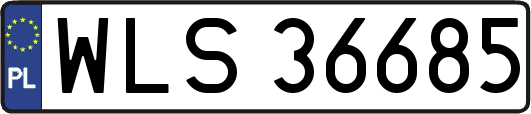 WLS36685