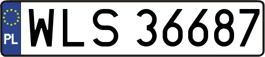 WLS36687