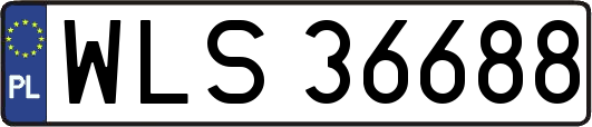 WLS36688