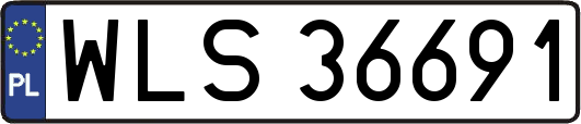 WLS36691