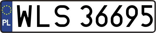 WLS36695
