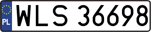 WLS36698