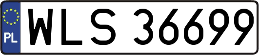WLS36699